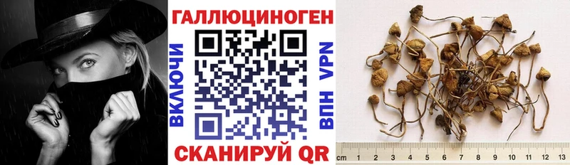 Галлюциногенные грибы Magic Shrooms  OMG ONION  Бор 