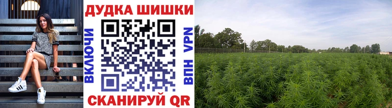 Конопля SATIVA & INDICA  купить закладку  Бор 